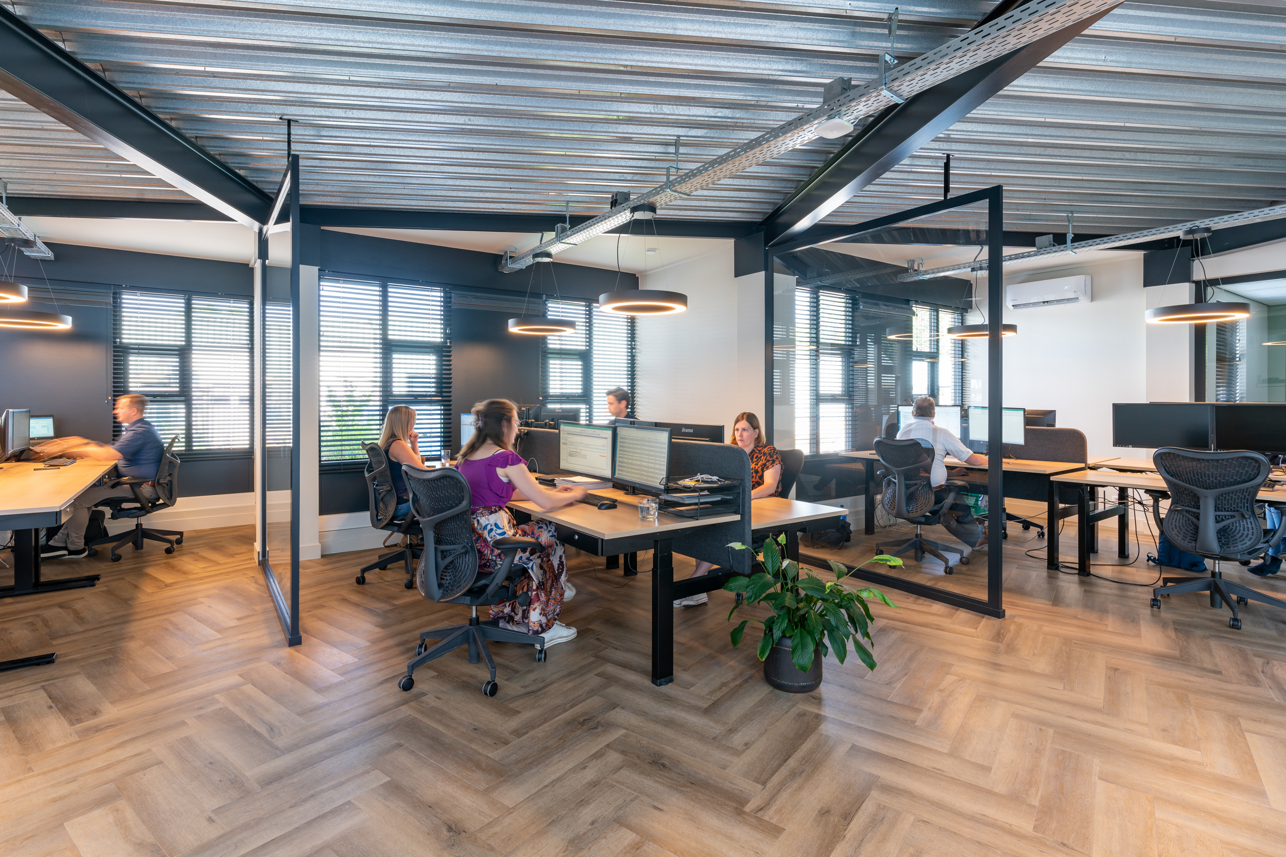 Het accountantskantoor van Riekhoff